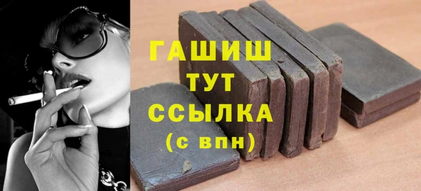 гидра Гусев