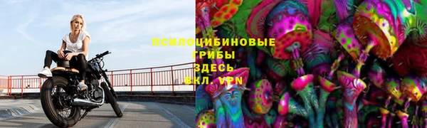 apvp Гусь-Хрустальный
