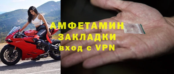 гидра Гусев