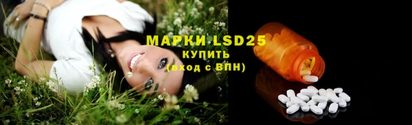 гидра Гусев