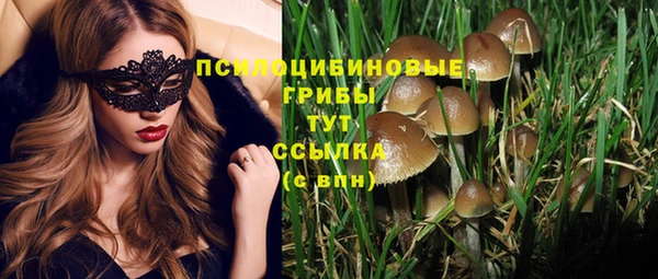 apvp Гусь-Хрустальный