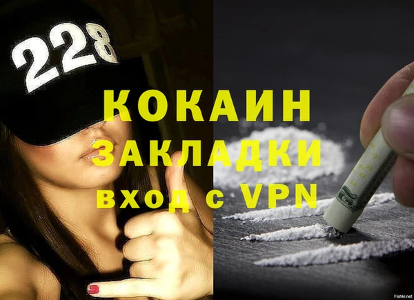 гидра Гусев