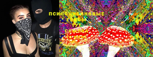 гидра Гусев