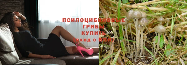 гидра Гусев