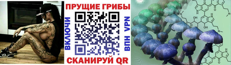 Галлюциногенные грибы GOLDEN TEACHER  Ирбит 